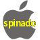 Aplicativo spinado para iOS